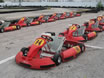 MGP Adult Karts 1